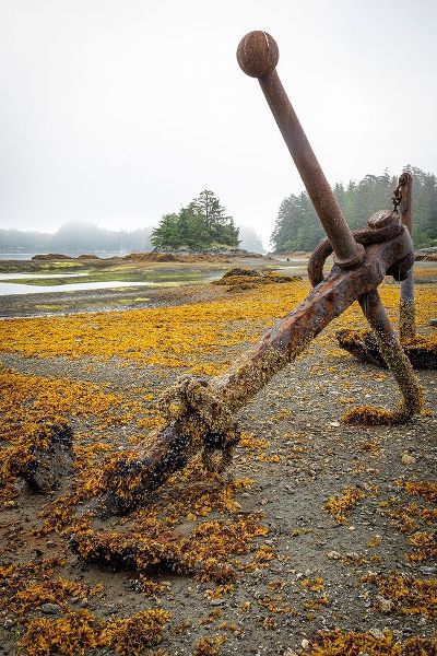 Alaska-Sitka Old anchors at ocean low tide